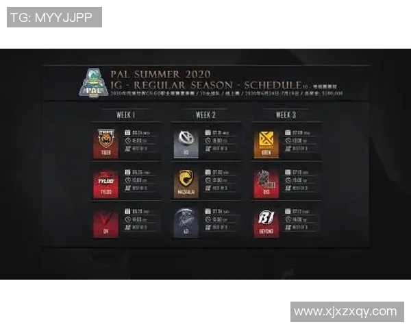 CSGO战术深度解析：全面剖析WE战队的战术布局与执行策略