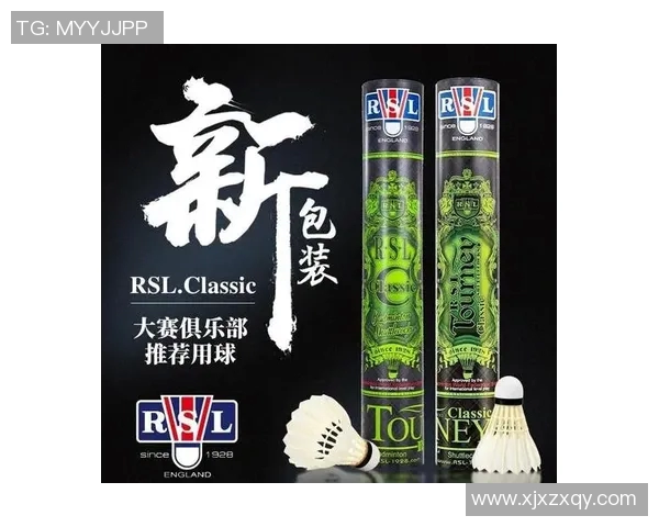 从零基础到高手之路羽毛球技术全方位提升指南 从零基础到高手之路羽毛球技术全方位提升指南