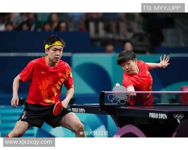 乒乓球的魅力与精神：深入解析杭州乒乓球队的团队意识与文化传承