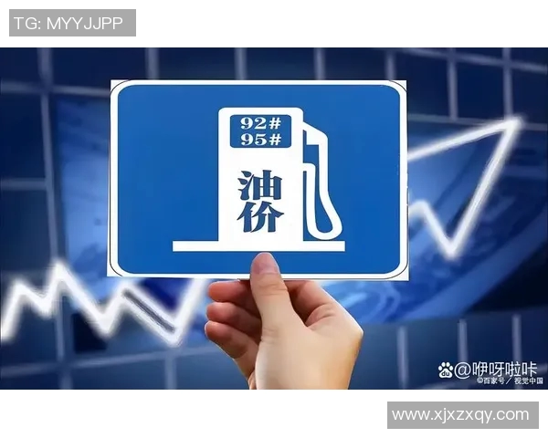 武汉极限运动队的防反策略解析与热点趋势探讨