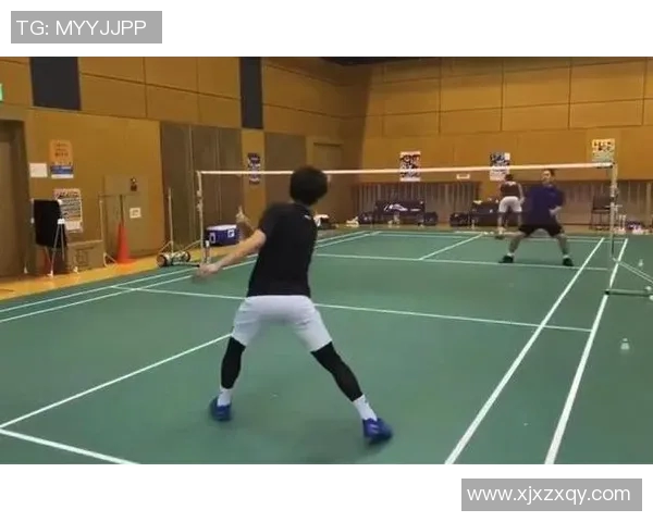 深入分析杭州羽毛球队区域防守战术及其在比赛中的应用效果