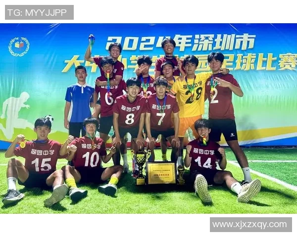 深圳足球队阵地战分析:优劣势及未来发展方向探讨 深圳足球队阵地战分析:优劣势及未来发展方向探讨