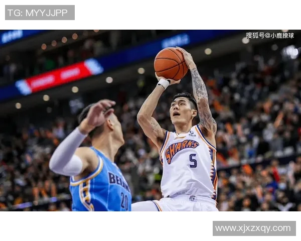 刘铮:从篮球场上的拼搏者到人生道路上的追梦人 刘铮:从篮球场上的拼搏者到人生道路上的追梦人