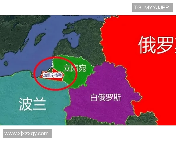 白俄罗斯与立陶宛的历史交锋与未来展望分析 白俄罗斯与立陶宛的历史交锋与未来展望分析