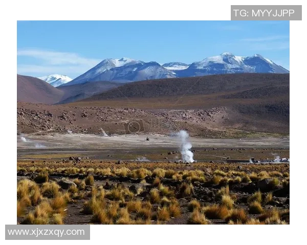 厄尔多瓜与智利的足球对决揭示南美洲足球的激烈竞争与历史渊源