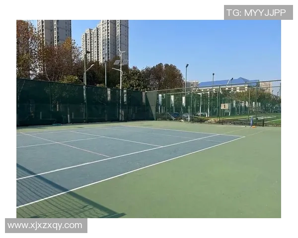 广州网球队的个人能力揭秘：网球巨献背后的故事与训练秘诀